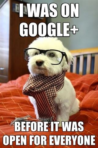 I was on google plus before hipster dog meme